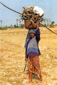 Woman carrying a basket