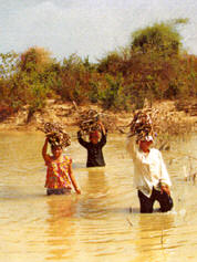 women wading through water