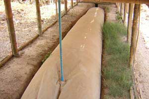 A PVC plastic bag biodigester unit