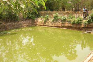 new lake