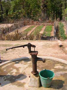 a new well and vegetabl patch
